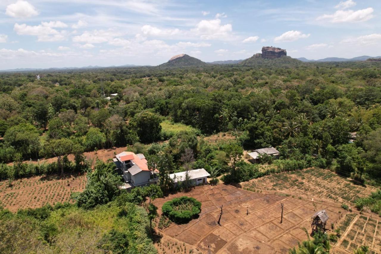 Sigiriya Sun Shine Villa Εξωτερικό φωτογραφία
